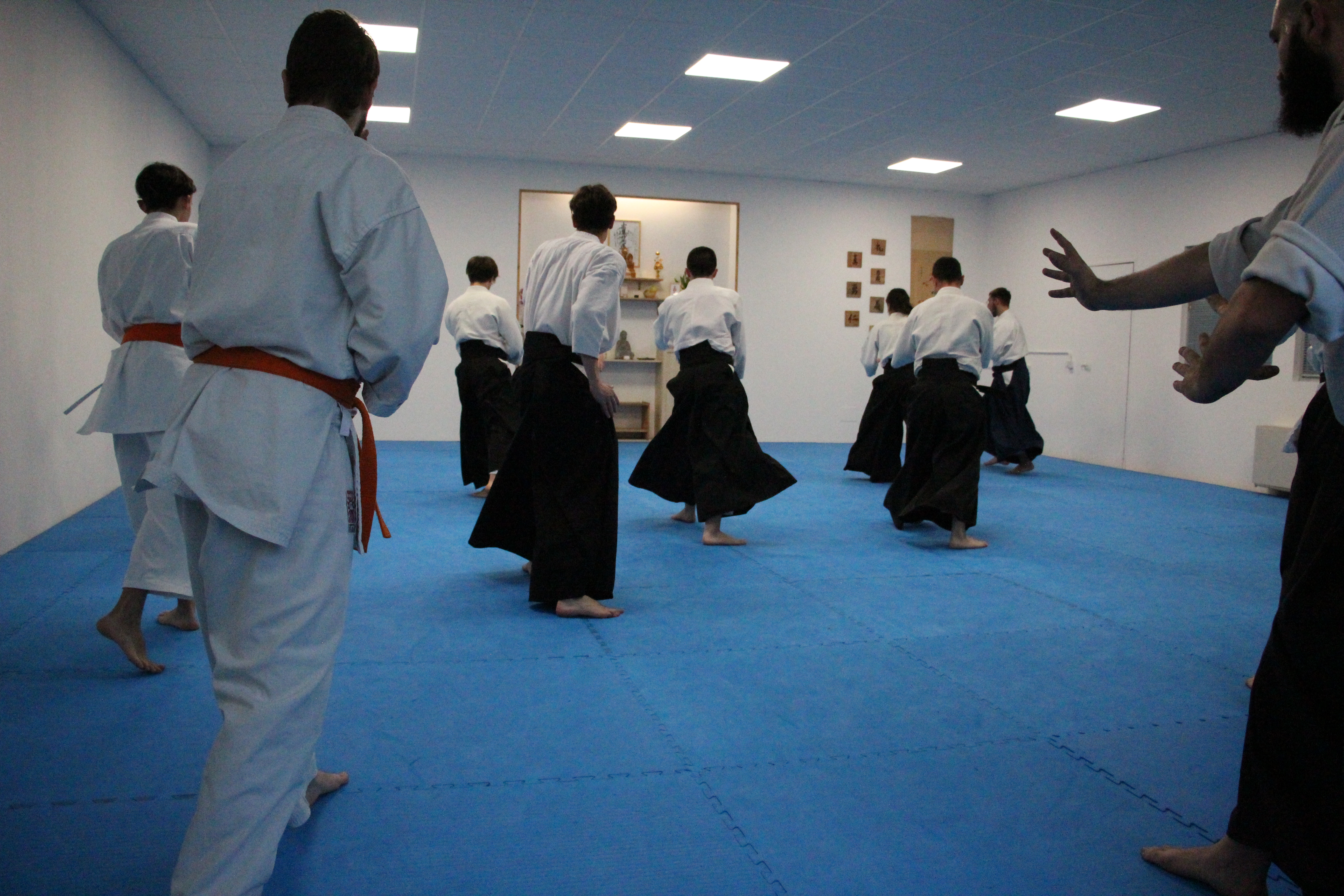 lezione corso Aikido Adulti presso Aiki Center ETS Parma